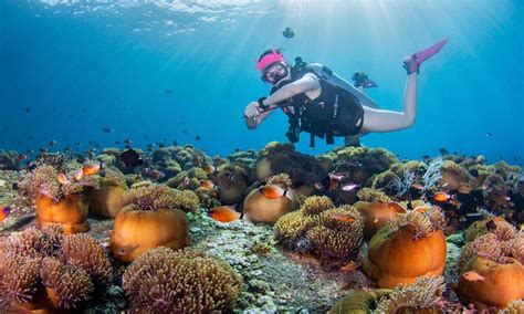  De Nanwan Koraaltuin: Een Onderwaterparadijs voor Duikliefhebbers!