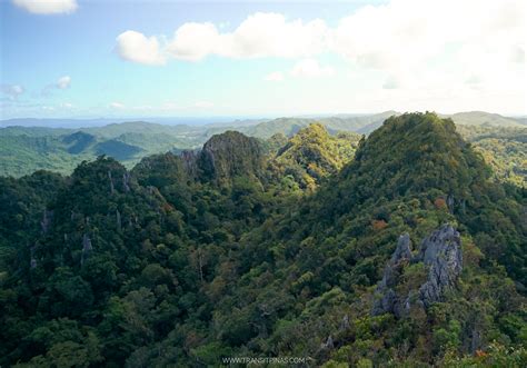  Quezon National Forest Park: Een Oase van Rust en Biologische Wonderen!