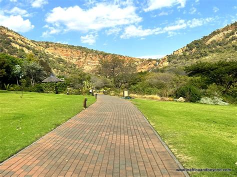 De Wonderlijke Wereld van de Walter Sisulu Nationale Botanische Tuin! Een Oase van Rust en Biodiversiteit in Johannesburg