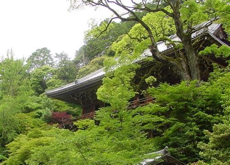 Yoshiki Enkyo-ji Tempel: Een Oase van Vrede en Schilderachtige Schoonheid in Yamaguchi!